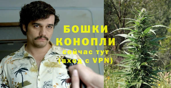 стафф Аркадак
