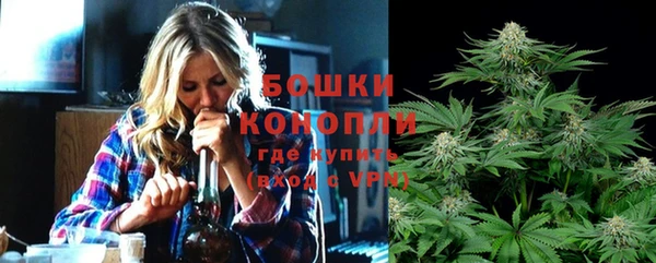 кокс Арсеньев