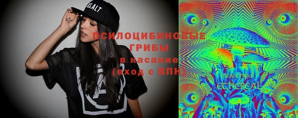 стафф Аркадак