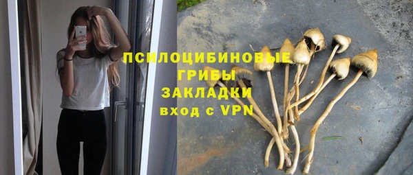 стафф Аркадак