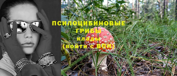 ГАЛЛЮЦИНОГЕННЫЕ ГРИБЫ Армянск