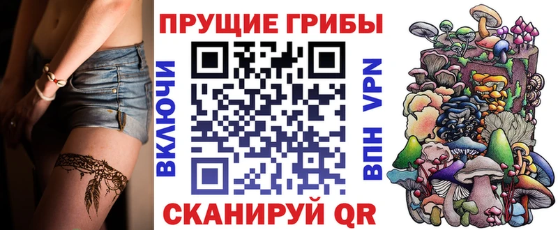 где найти   Туринск  Псилоцибиновые грибы Cubensis 
